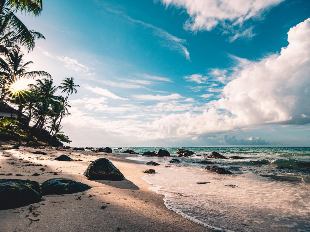 Experimenta la serena belleza de una playa tropical en RAAS, Nicaragua, con palmeras y olas del océano.